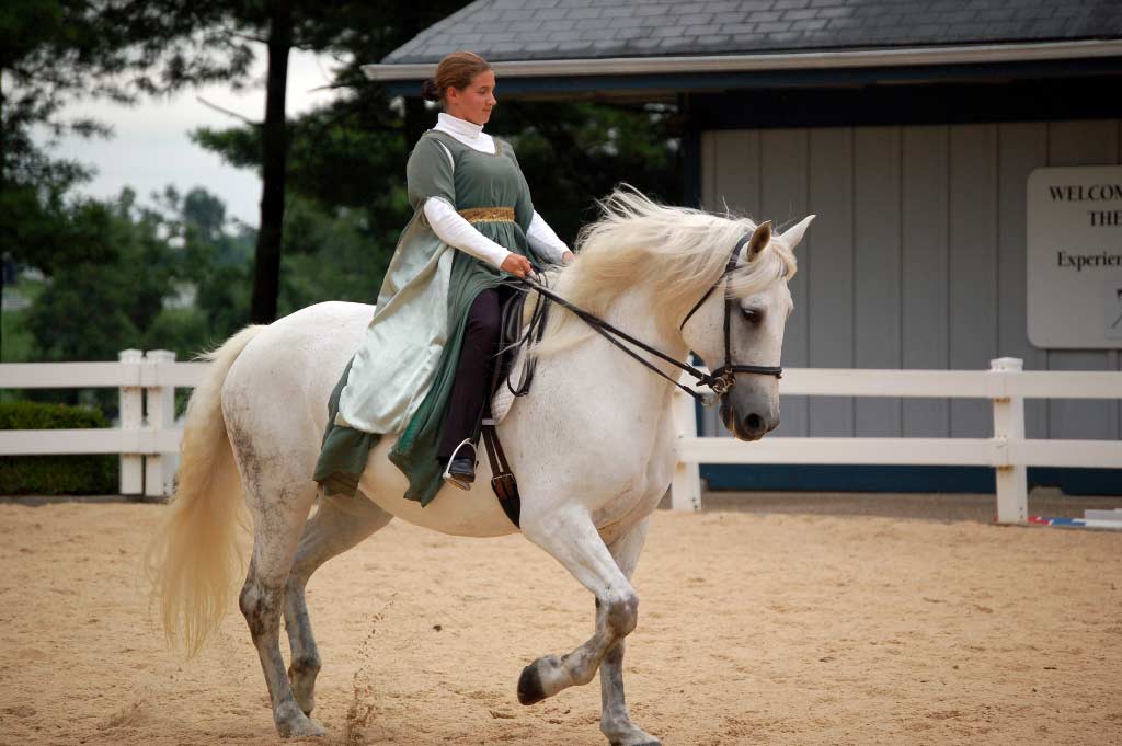 Spanish Norman Horse Breed Profile, Traits, Facts, and Care